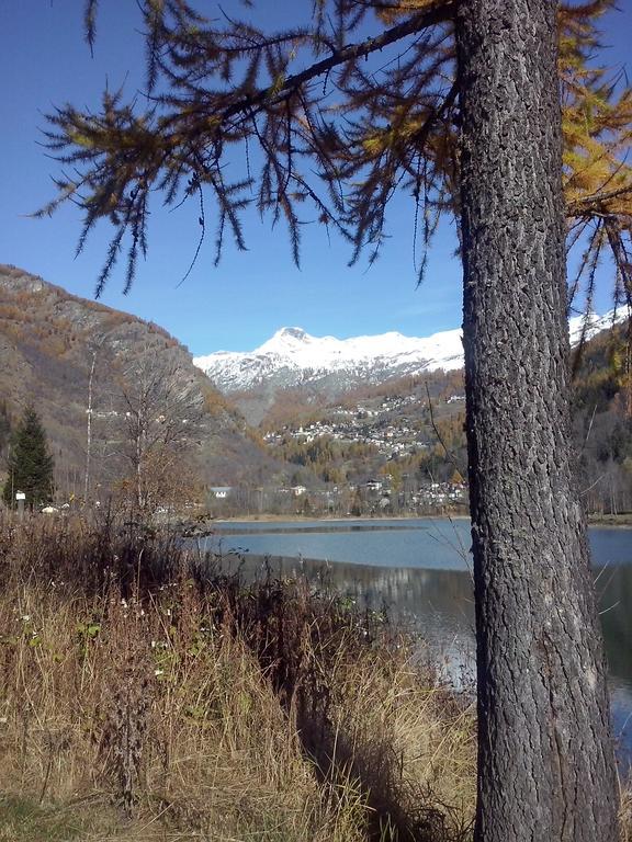 Petit Maison - Valtournenche Dış mekan fotoğraf