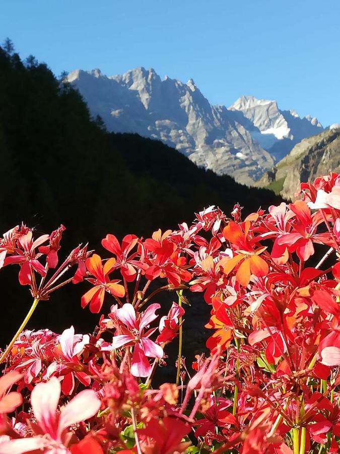 Petit Maison - Valtournenche Dış mekan fotoğraf